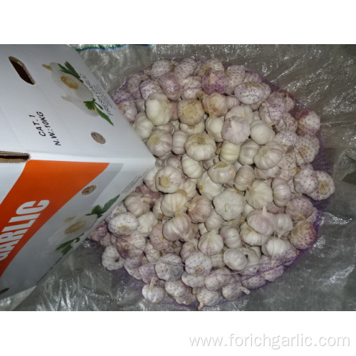 Normal White Garlic 5.0cm New Crop 2019